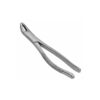 151s universal pedo extraction forceps