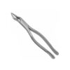 65 extraction forceps