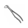 extraction forceps lower anterior tapered