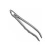 Universal Extraction Forceps, Lower, Notched Tips
