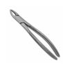 138c english pattern pedo extraction forceps