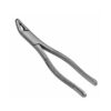 151xas universal pedo extraction forceps