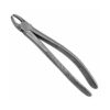 157c english pattern pedo extraction forceps