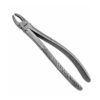 158c english pattern pedo extraction forceps