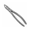 159c english pattern pedo extraction forceps