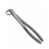 160c english pattern pedo extraction forceps