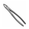 163C English Pattern Pedo Extraction Forceps