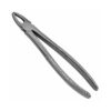 37C English Pattern Pedo Extraction Forceps 1 37c english pattern pedo extraction forceps
