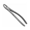 39c english pattern pedo extraction forceps