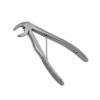 6C English Pattern Pedo Extraction Forceps
