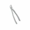 extracting forceps for children fig 39 single use dental instruments