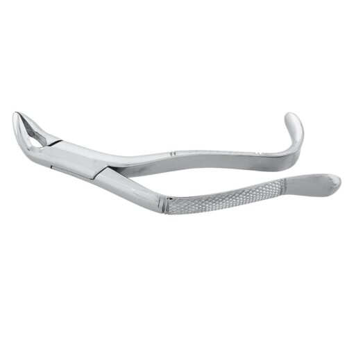 Extracting Forceps Curved 5"