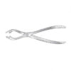 fergussons lion bone holding forceps