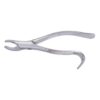 Stainless Steel Extracting Forceps